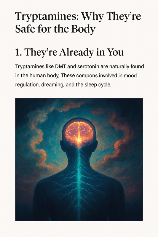 Why are Tryptamines Safe for Humans? - Moocah World