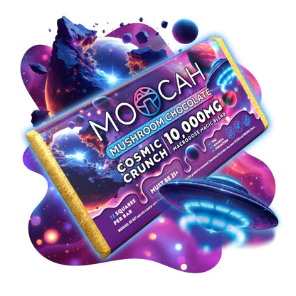 Designed for focus, creativity, and well - being