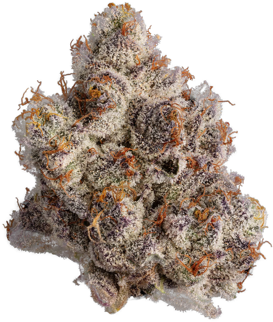 Premium Flower - Blackberry Runtz INDICA