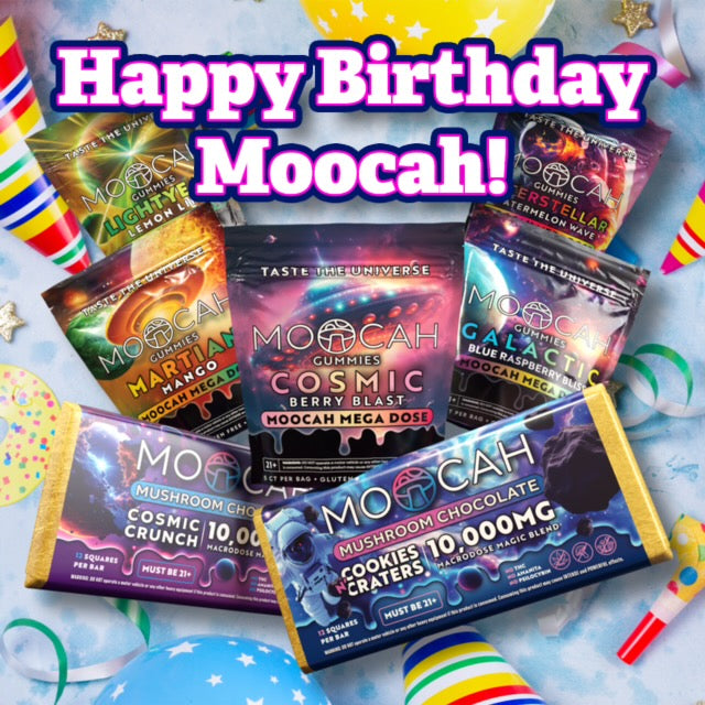 Moocah Birthday Bundle